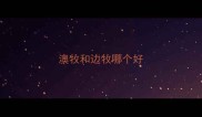 澳牧和边牧哪个好