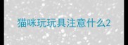 猫咪玩玩具注意什么