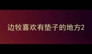 边牧喜欢有垫子的地方
