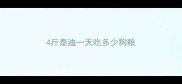 4斤泰迪一天吃多少狗粮