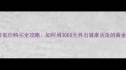 拉布拉多低价购买全攻略如何用3000元养出健康活泼的黄金猎犬