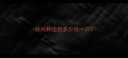 非纯种边牧多少钱一只