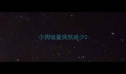 小狗饭量突然减少