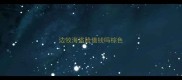 边牧海盗脸值钱吗棕色