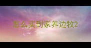 怎么买到家养边牧
