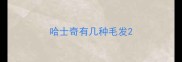 哈士奇有几种毛发