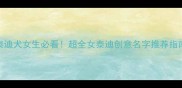 泰迪犬女生必看超全女泰迪创意名字推荐指南