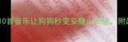 科学验证这10首音乐让狗狗秒变安静小天使附超全养护指南