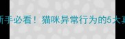 猫咪吃孩子新手必看猫咪异常行为的5大真相与应对指南