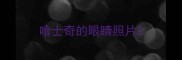 哈士奇的眼睛照片