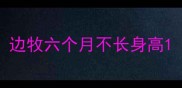 边牧六个月不长身高