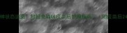 打疫苗后精神状态逆袭附超全猫咪疫苗后护理指南附疫苗后24小时观察表