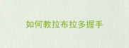 如何教拉布拉多握手