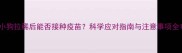 小狗拉稀后能否接种疫苗科学应对指南与注意事项全