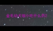 金毛幼犬细小吃什么药
