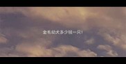 金毛幼犬多少钱一只