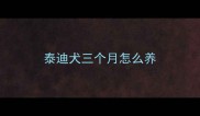 泰迪犬三个月怎么养