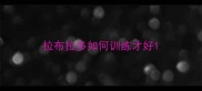 拉布拉多如何训练才好