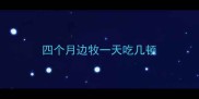 四个月边牧一天吃几顿