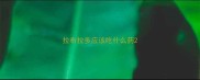 拉布拉多应该吃什么药