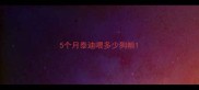 5个月泰迪喂多少狗粮