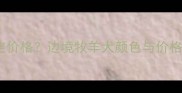 边牧颜色决定价格边境牧羊犬颜色与价格的秘密
