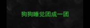 狗狗睡觉团成一团