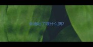 泰迪吐了喂什么药