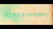 哈士奇买多大的狗厕所