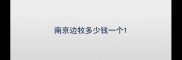 南京边牧多少钱一个
