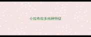 小拉布拉多纯种特征