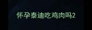 怀孕泰迪吃鸡肉吗