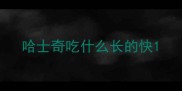 哈士奇吃什么长的快