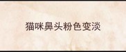 猫咪鼻头粉色变淡