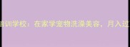 中山市宠物美容师培训学校在家学宠物洗澡美容月入过万的技能培训攻略