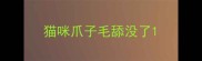 猫咪爪子毛舔没了