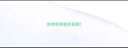 拉布拉多幼犬毛松
