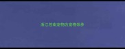 浙江苍南宠物店宠物领养