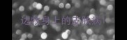 边牧身上的皮肤病