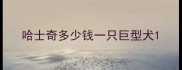 哈士奇多少钱一只巨型犬
