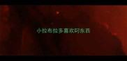 小拉布拉多喜欢叼东西