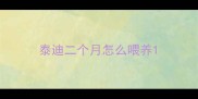 泰迪二个月怎么喂养