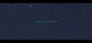 小狗该吃什么食物