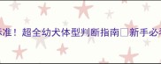 2个月大狗狗尺寸标准超全幼犬体型判断指南新手必看养狗尺寸对照表