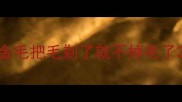 金毛把毛剃了就不掉毛了