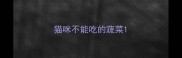 猫咪不能吃的蔬菜