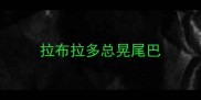 拉布拉多总晃尾巴