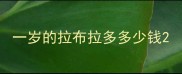 一岁的拉布拉多多少钱