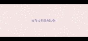 拉布拉多颜色比例