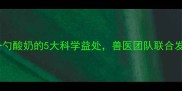 金毛犬每日一勺酸奶的5大科学益处兽医团队联合发布权威指南
